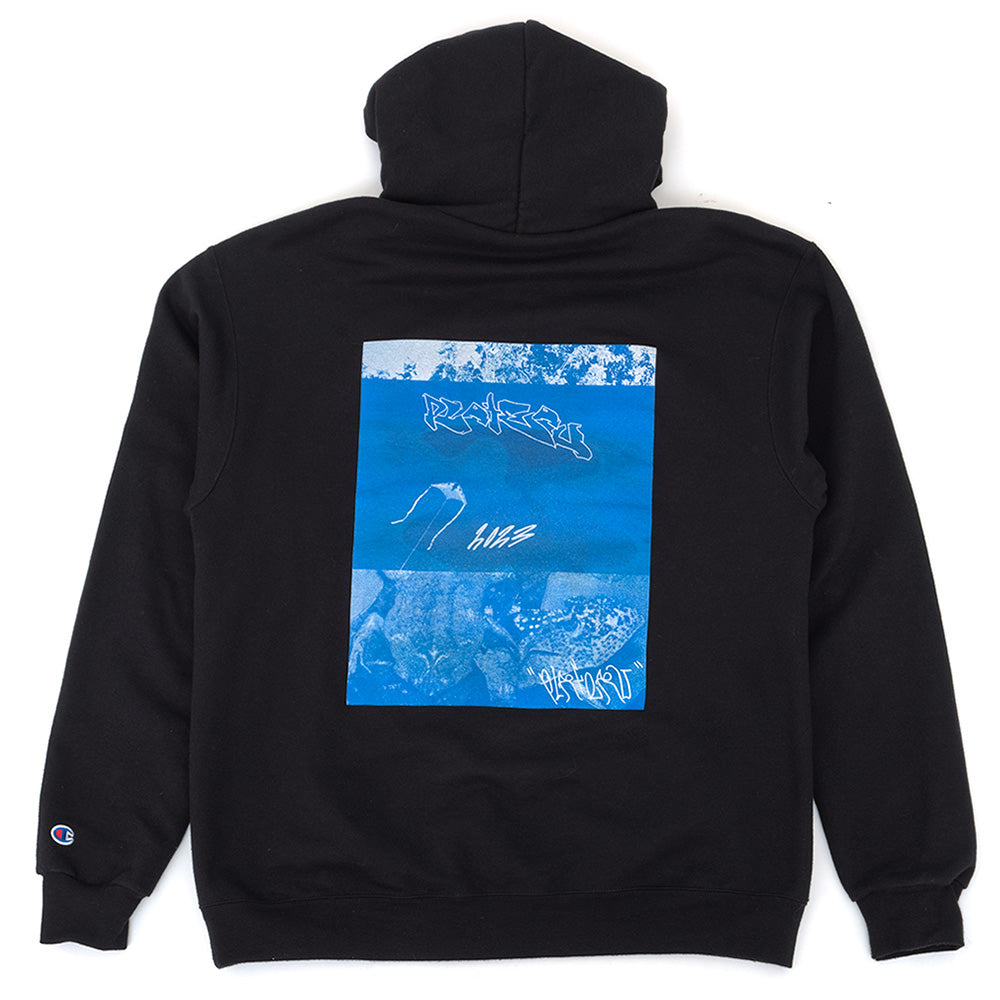 Dead Leaf Toad Champion Pullover Hooded Sweatshirt (Black)