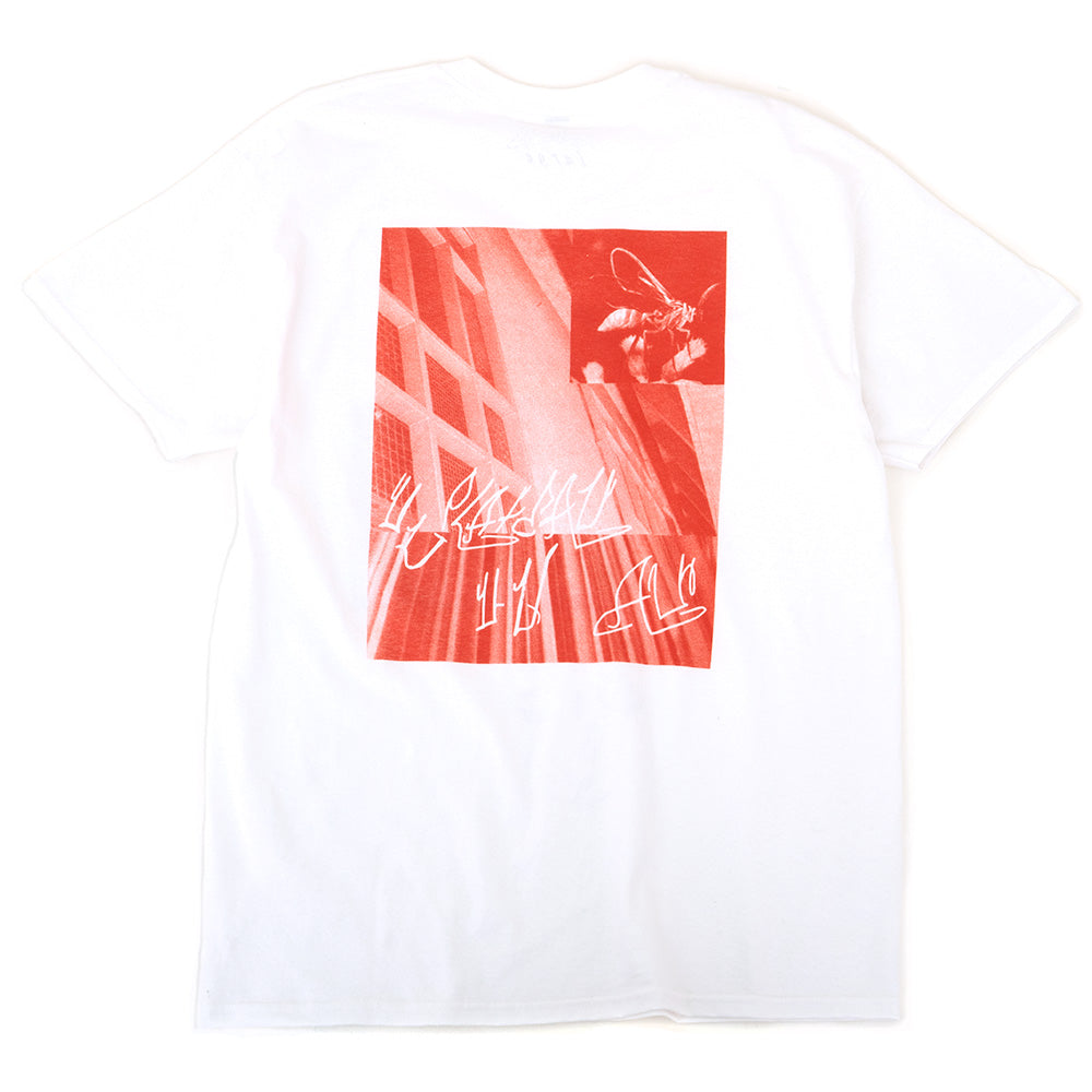Anticryptic Coloration T-Shirt (White) (S)