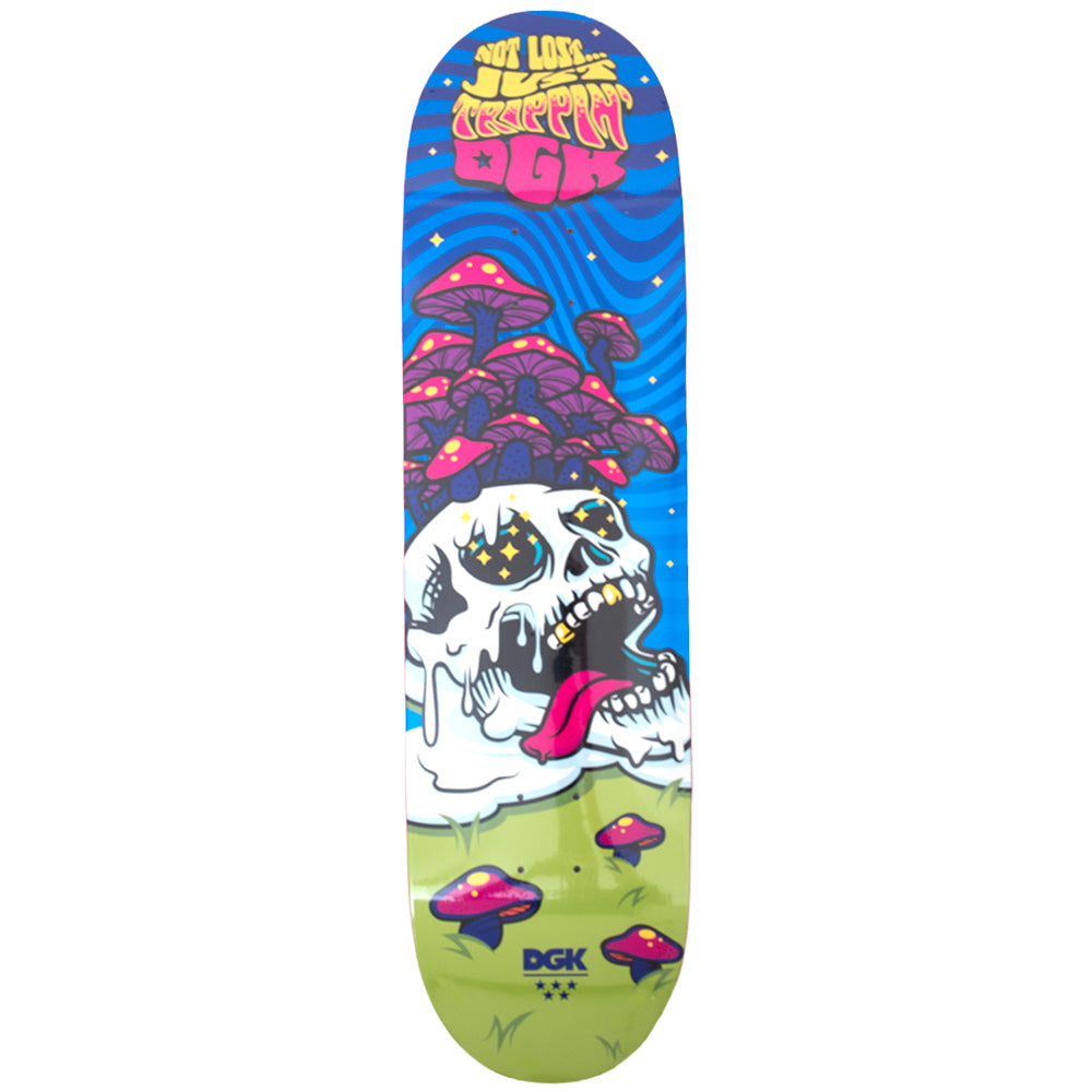 Not Lost Deck (8.5)